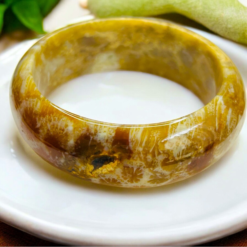 58mm Medium Wrist Fossilized Coral Stone Bangle